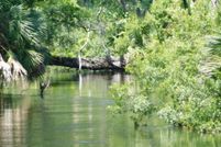 Land for sale in Taylor County, Florida