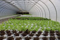 Farm and Ranch for sale in Jackson County, Florida