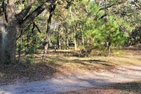 Undeveloped Land for sale in Taylor County, Florida