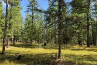 Land for sale in Lincoln County, Montana