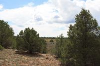Land for sale in Cibola County, New Mexico