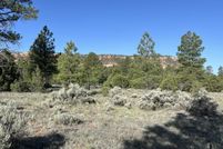 Land for sale in Cibola County, New Mexico