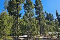 Land for sale in Powell County, Montana