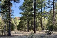 Land for sale in McKinley County, New Mexico