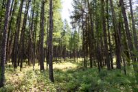 Undeveloped Land for sale in Lincoln County, Montana