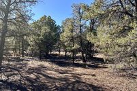Land for sale in Catron County, New Mexico