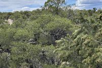 Land for sale in Socorro County, New Mexico