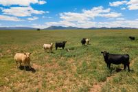 Farm and Ranch for sale in Santa Fe County, New Mexico