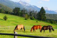 Farm and Ranch for sale in Lake County, Montana