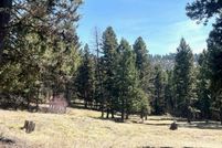 Undeveloped Land for sale in Missoula County, Montana