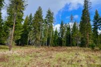 Undeveloped Land for sale in Sanders County, Montana