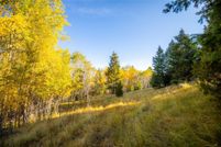 Undeveloped Land for sale in Silver Bow County, Montana