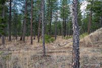 Undeveloped Land for sale in Lincoln County, Montana