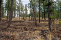 Timberland Property for sale in Lincoln County, Montana