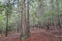 Land for sale in Sanders County, Montana