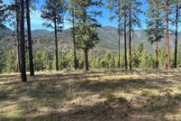 Undeveloped Land for sale in Missoula County, Montana