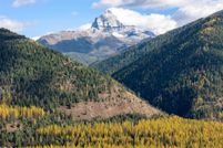 Undeveloped Land for sale in Flathead County, Montana