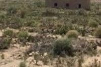 Land for sale in Socorro County, New Mexico