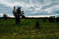 Land for sale in Flathead County, Montana