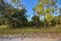 Undeveloped Land for sale in Lee County, Florida