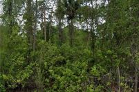 Land for sale in Lee County, Florida