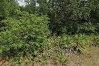 Land for sale in Lee County, Florida