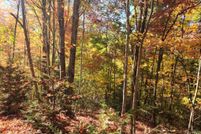 Undeveloped Land for sale in Rutherford County, North Carolina