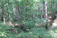 Land for sale in Madison County, North Carolina