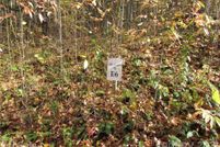 Land for sale in Madison County, North Carolina