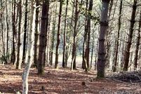 Recreational Property for sale in Caldwell County, North Carolina