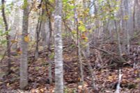 Homesite for sale in Madison County, North Carolina