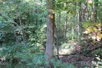Land for sale in Madison County, North Carolina