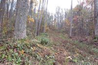 Land for sale in Madison County, North Carolina