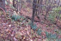 Land for sale in Madison County, North Carolina