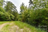 Undeveloped Land for sale in Madison County, North Carolina