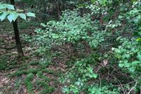 Undeveloped Land for sale in Polk County, North Carolina