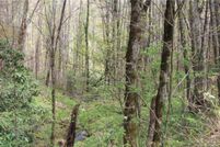 Land for sale in Jackson County, North Carolina