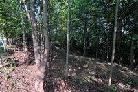 Undeveloped Land for sale in Polk County, North Carolina