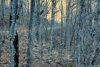 Recreational Property for sale in Yancey County, North Carolina