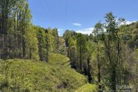 Undeveloped Land for sale in Mitchell County, North Carolina