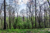 Land for sale in Wilkes County, North Carolina