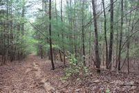 Land for sale in Burke County, North Carolina