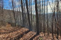 Undeveloped Land for sale in Wilkes County, North Carolina