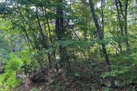 Undeveloped Land for sale in Buncombe County, North Carolina