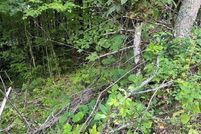 Undeveloped Land for sale in Haywood County, North Carolina