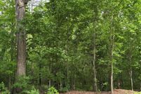 Land for sale in Union County, North Carolina