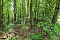 Land for sale in McDowell County, North Carolina