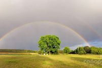 Land for sale in Chesterfield County, South Carolina