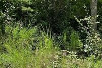 Land for sale in Henderson County, North Carolina