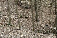 Land for sale in Mecklenburg County, North Carolina